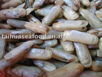 Whole Razor canned whole clams