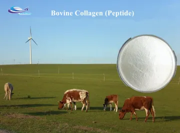 Organic Hydrolyzed Bovine / Beef Collagen Peptide With