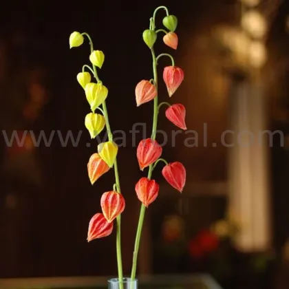 Wholesale artificial flower PU real touch cape gooseberry indian gooseberry for wedding decoration