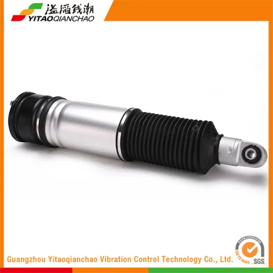 Most Popular Products Modern Style Price of Rubber Shock Absorber