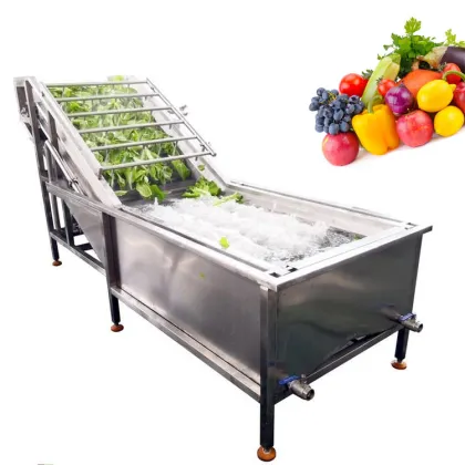 Fruit Juice Processing Plant Chilli Nut Shrimp Washer Equipment