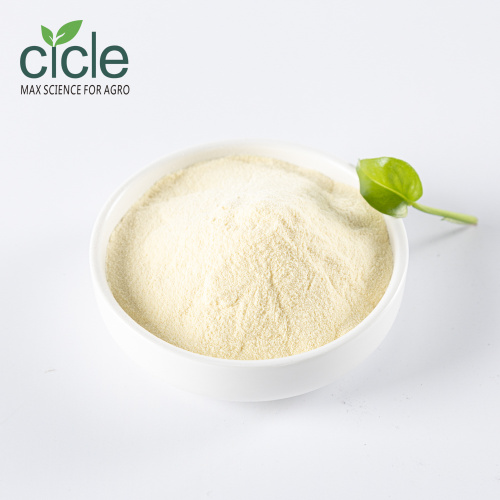 Amino Acid Powder 80 Enzymolysis