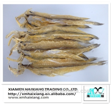 Dried bombay duck fish wholesale