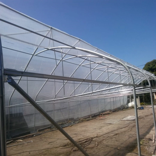 Best-selling Plastic Film Greenhouse for Flowers Agriculture