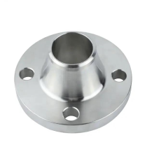 ASMEB16.47 Forged Stainless Steel WN Flange