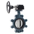 Valve papillon de type roue de roue