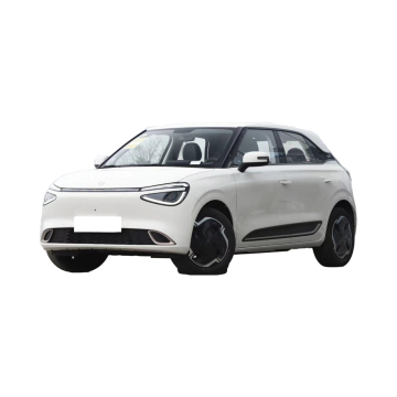 Dongfeng Nano 012024 330 Plus Smart+ Edition - 95 PS Elektrofahrzeug mit 330 km CLTC -Reichweite