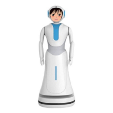 Interactive Talking Robots for Company