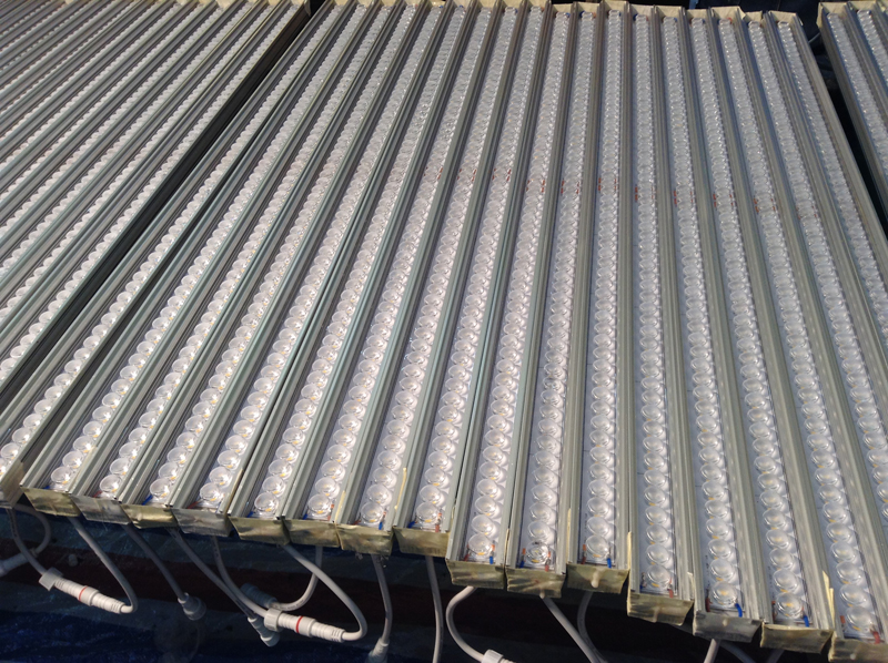 Outdoor wall wash lighting