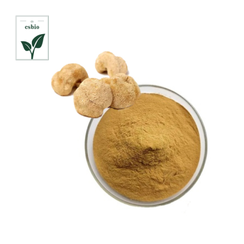 Hericium Erinaceus Extract Powder