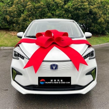 2024 High Speed Changan E-Star Mini EV Car