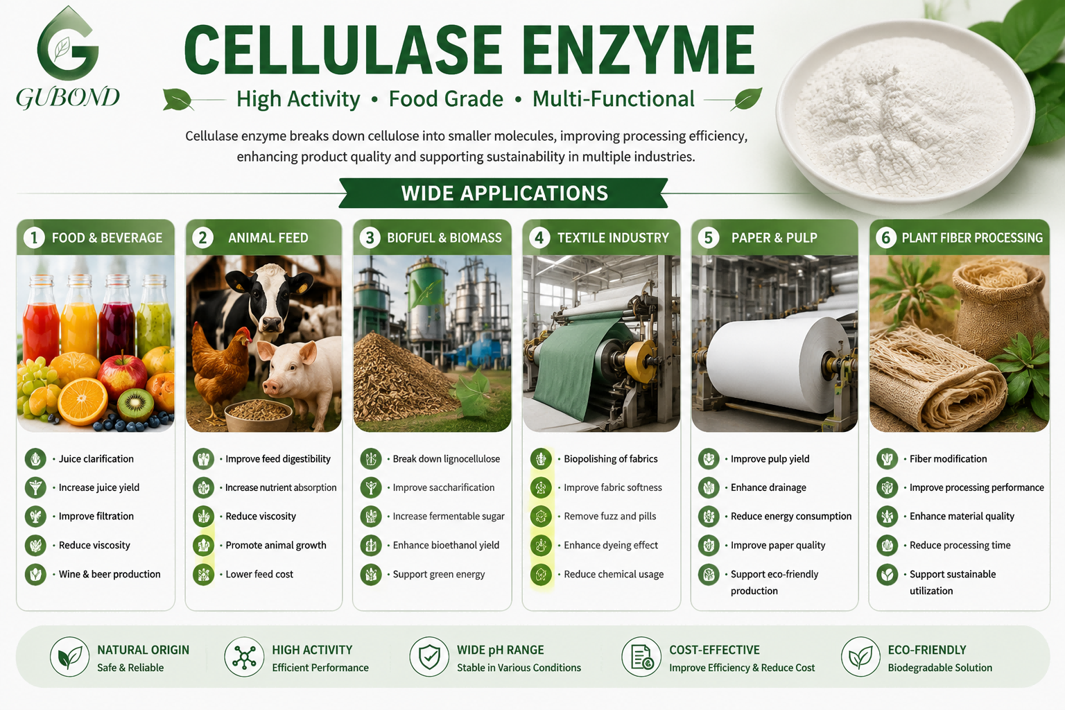 Cellulase