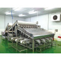 Automatic Shrimp Cleaning And Grading Machine