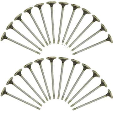 7W8064 7W2699 Engine Valve for CAT 3116 Intake Exhaust Valves