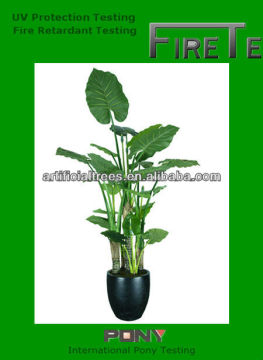 Artificial Taro/Dieffenbachia/small trees used for home or office decoration