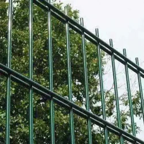 High Quality Welded Park Double Wire Mesh Fence