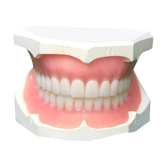 High Quality Wholesale Dental Consumables: Custom Made Complete Dentures & Acrylic Dentures