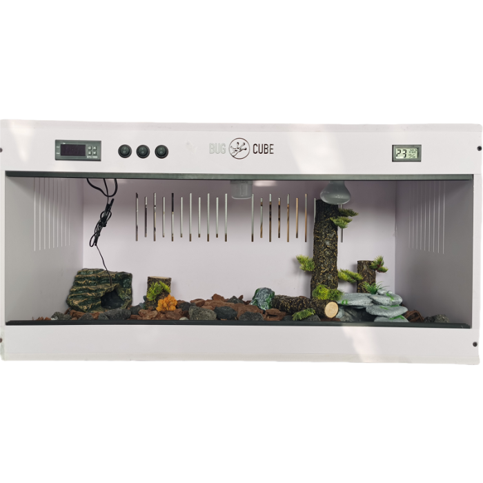 Tanque de répteis plásticos multifuncionais