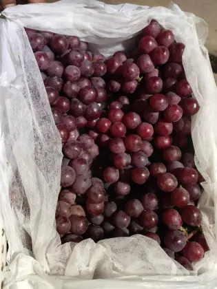 High Quality Yun Nan Red Grapes