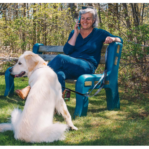 6 en 1 mains libres de chien laisse