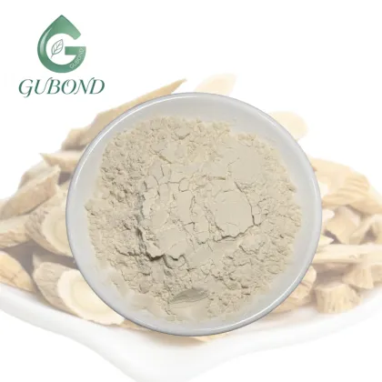 Astragalus Root Extract Powder for Nutritional Supplements