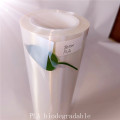 Bioplastic PLA sheet clear biodegradable film eco-friendly