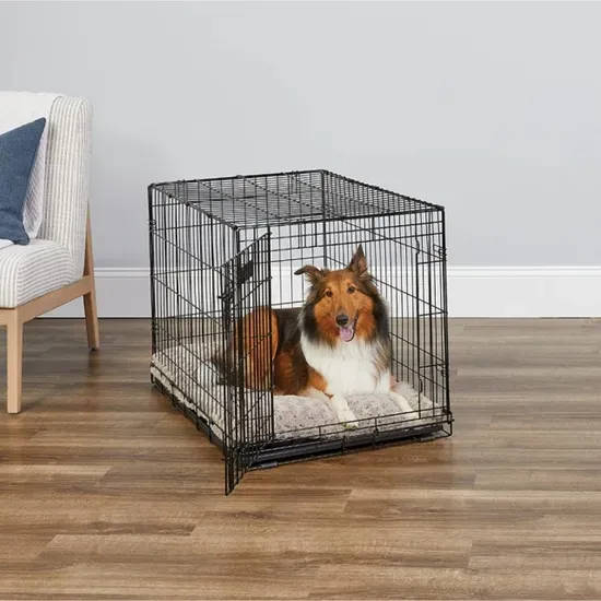 Collapsible Double Doors 18 Inch Tray Dog Crate for Pet Traveler