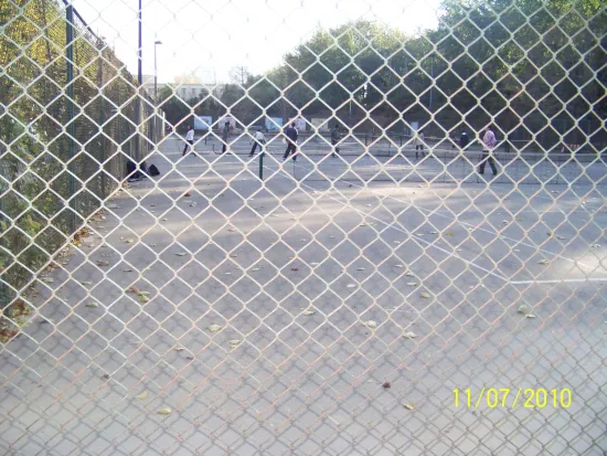 50*50mm, 60*60mm, 75*75mm Chain Link Fence Used For The Fence, Garden, Playground