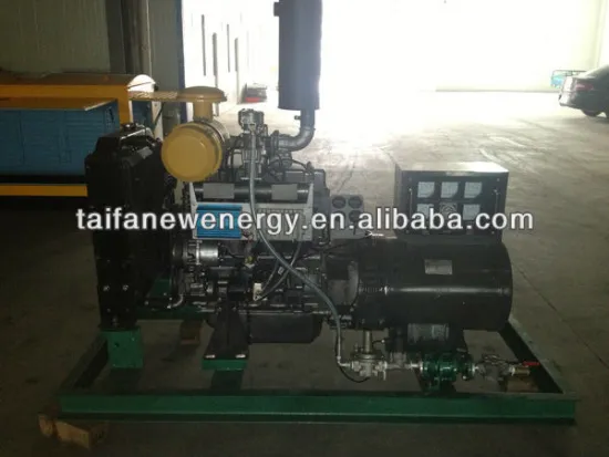 Straw Engine 30KW powered generator Set with low fuel cousumption
