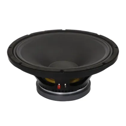 15″  Party/Concert/Opera/Stage  speaker