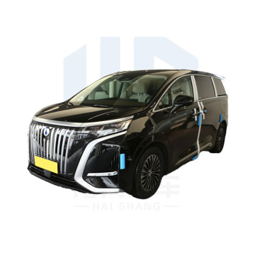 2024 BYD DENZA D9 EV 620-Szybkie 7-surowe elektryczne MPV