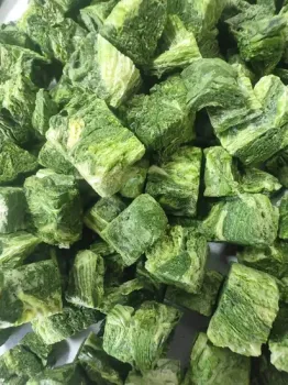 Freeze Dried Chopped Spring Onion