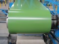 Prepainted galvanis Steel Coil PPGI