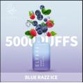 Flavors Wholesale Elf Bar BC 5000