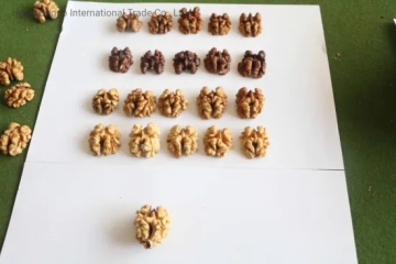 Product Cheap Walnut in Shell