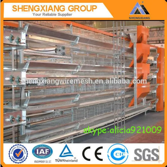 High quality Automatic Chicken Layer Cage For Sale