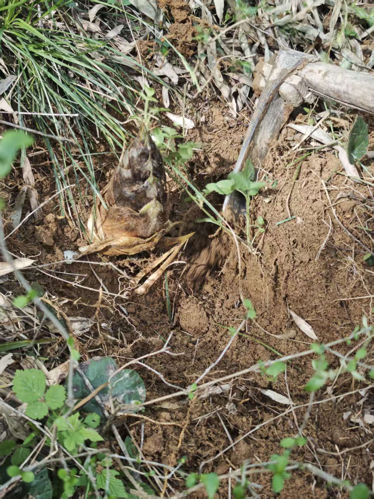 ef1bfd9f83d783f257d7a84581220ee5