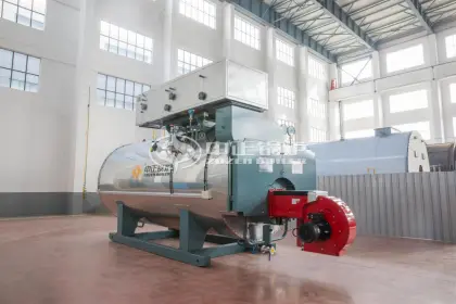 steam boiler for pharmaceutical industry