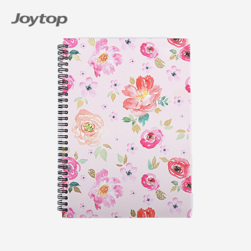 Joytop 2022 New Design Custom Printing Kawaii Iridescent Spiral Notebook