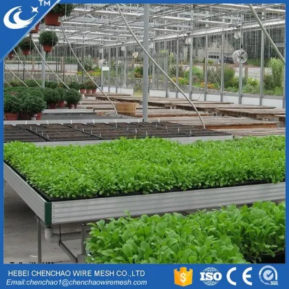 Self-Watering Veggie Table: Greenhouse Kits with Movable Benches for Efficient Cultivation