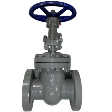 Manual Wedge Gate Valve DN 100 PNFm Water Seal Rising Stem with Flanges, Gaskets, and Fasteners