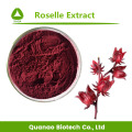 Roselle-extract / Hibiscus Sabdariffa-extractpoeder 10: 1