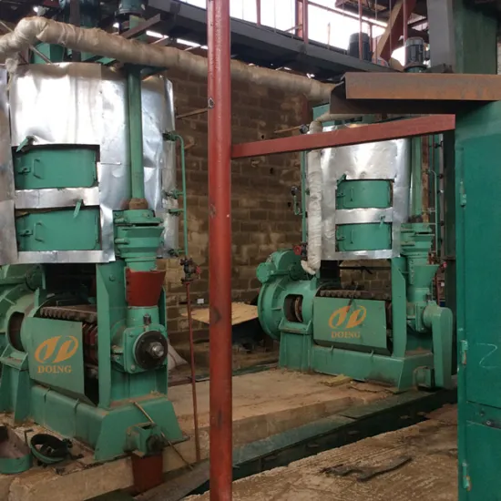 60t palm kernel oil press machine installed in Undo/palm kernel oil machine running video