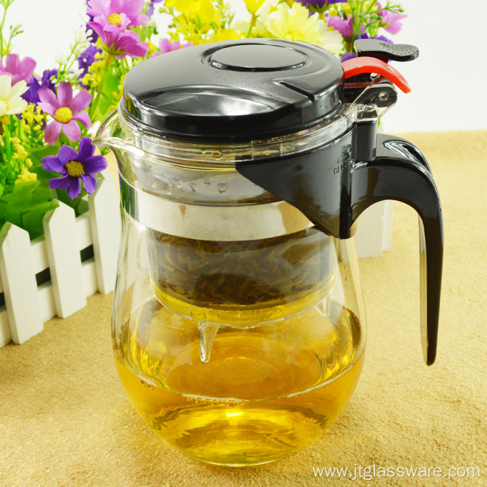 Loose Leaf Tea Maker with Glass Teapot