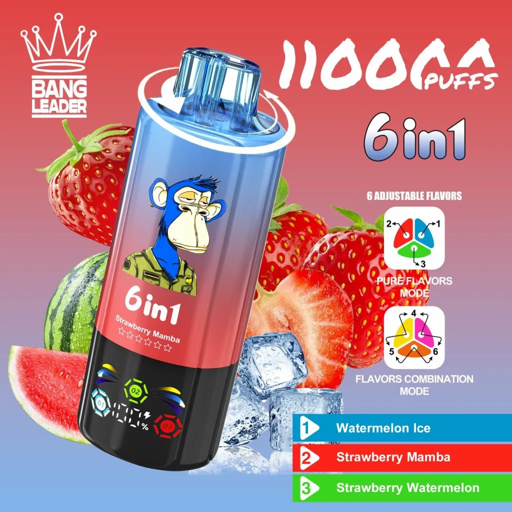 24hvape-bang-leader-110k-puffs-vape-watermelon-icestrawberry-mambastrawberry-watermelon