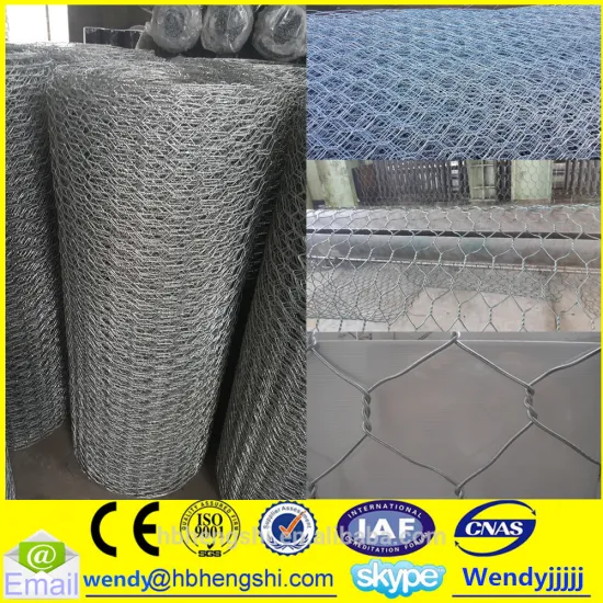 Galvanized hexagonal wire mesh/PVC hexagonal wire mesh high quality/hexagonal wire mesh factory price