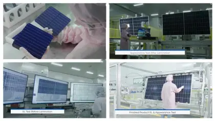 TOPCon solar module solar panel solar energy