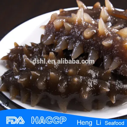 Bag packaging canada sea cucumber for sale