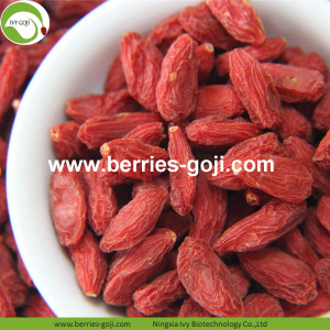 Fuente de la fábrica Fruit Bulk A Grade Goji Berries