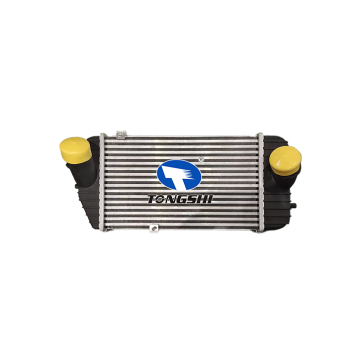 Intercooler automatico OEM 28270-2GTHO per Hyundai Santa Fe